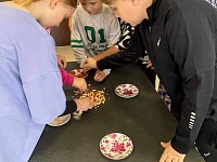 ������� ��������