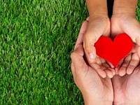 ����� �����