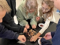 ������� ��������