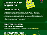 ���. ����������������� ��������