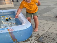 ���� ���������������� ����� 